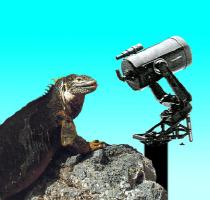 Lizard Hollow Observatory Logo